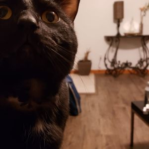 Meet your Posher, Jesse